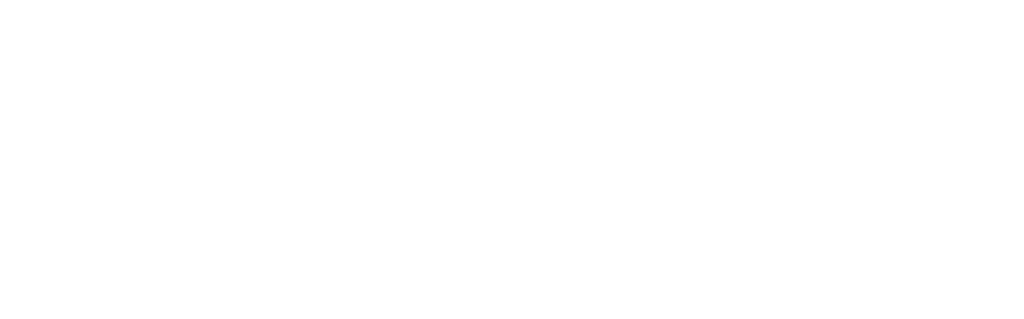 DiNTR